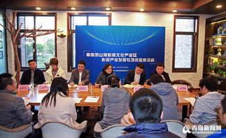 靈山灣影視企業獲2042萬影視專項資金