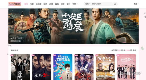 8大超牛的精品影視網站 免費資源與低調使用的全面指南，附帶電影攝制服務推薦